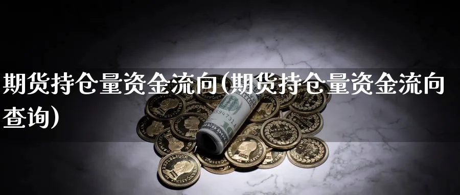 期货持仓量资金流向(期货持仓量资金流向查询)_https://www.xmhbzsgs.com_期货入门_第1张