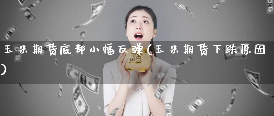 玉米期货底部小幅反弹(玉米期货下跌原因)_https://www.xmhbzsgs.com_原油期货_第1张