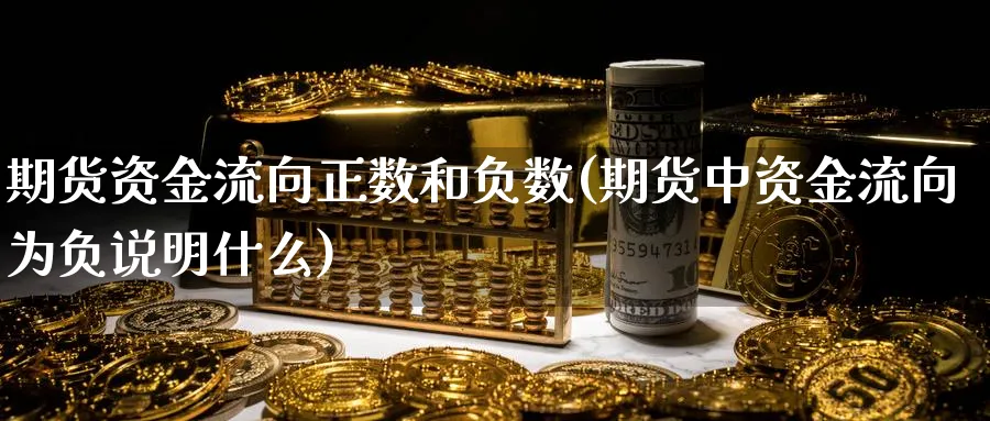 期货资金流向正数和负数(期货中资金流向为负说明什么)_https://www.xmhbzsgs.com_期货直播_第1张