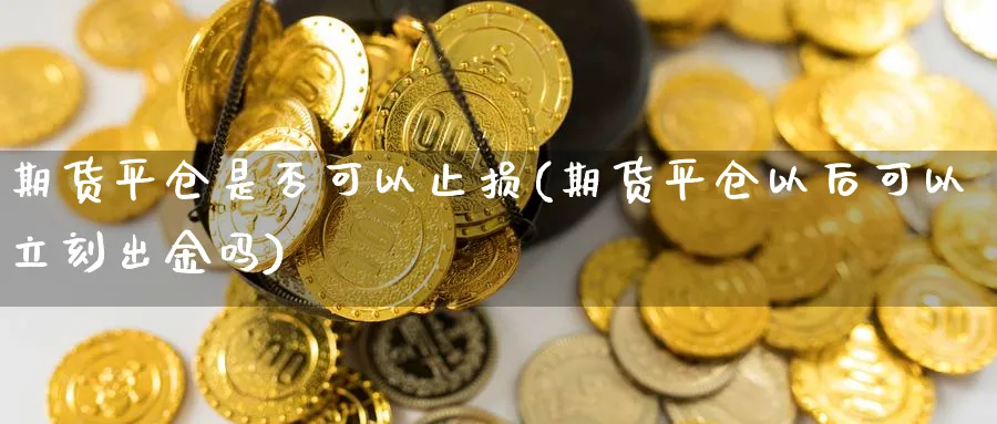 期货平仓是否可以止损(期货平仓以后可以立刻出金吗)_https://www.xmhbzsgs.com_原油期货_第1张