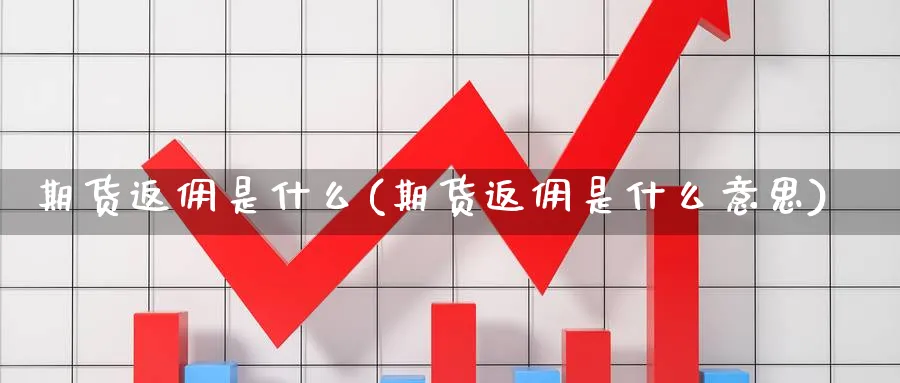 期货返佣是什么(期货返佣是什么意思)_https://www.xmhbzsgs.com_期货分析_第1张