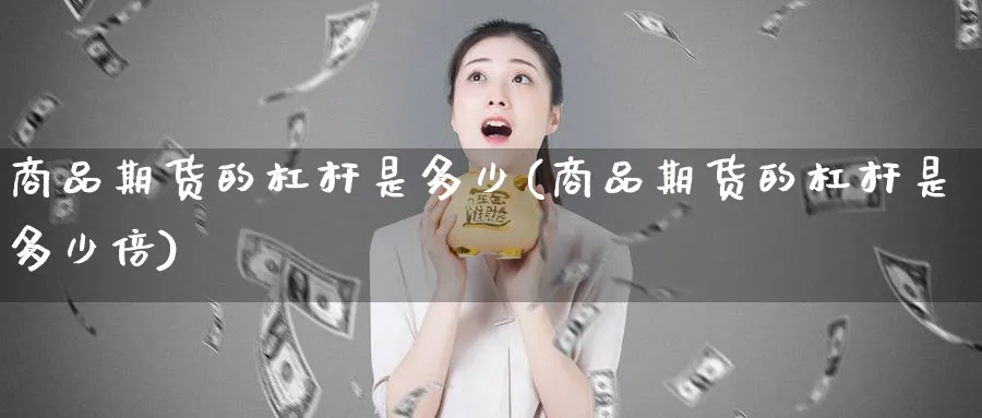 商品期货的杠杆是多少(商品期货的杠杆是多少倍)_https://www.xmhbzsgs.com_纳指期货_第1张