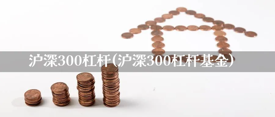 沪深300杠杆(沪深300杠杆基金)_https://www.xmhbzsgs.com_期货分析_第1张