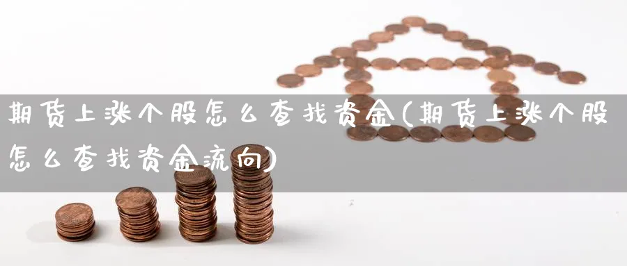 期货上涨个股怎么查找资金(期货上涨个股怎么查找资金流向)_https://www.xmhbzsgs.com_期货直播_第1张