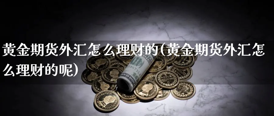 黄金期货外汇怎么理财的(黄金期货外汇怎么理财的呢)_https://www.xmhbzsgs.com_内盘期货_第1张