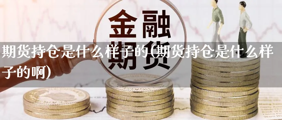 期货持仓是什么样子的(期货持仓是什么样子的啊)_https://www.xmhbzsgs.com_期货分析_第1张