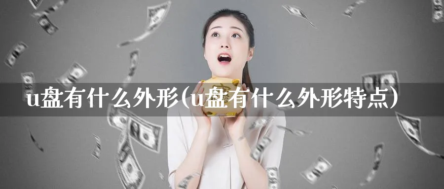 u盘有什么外形(u盘有什么外形特点)_https://www.xmhbzsgs.com_原油期货_第1张