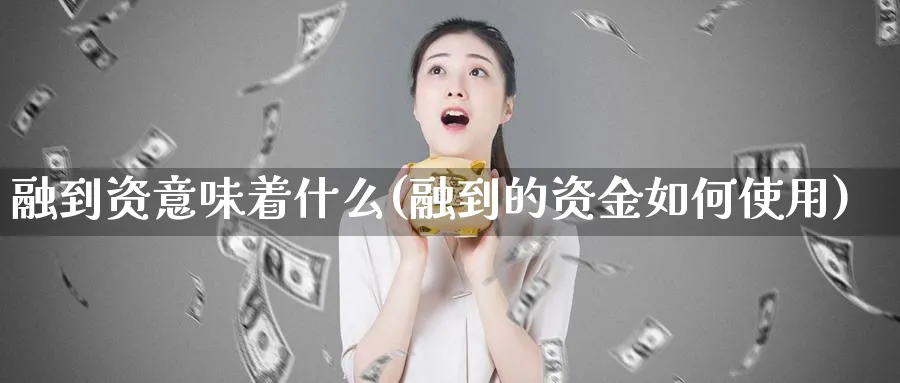 融到资意味着什么(融到的资金如何使用)_https://www.xmhbzsgs.com_理财百科_第1张