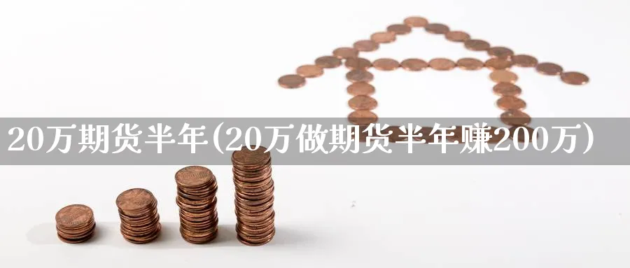 20万期货半年(20万做期货半年赚200万)_https://www.xmhbzsgs.com_期货品种_第1张