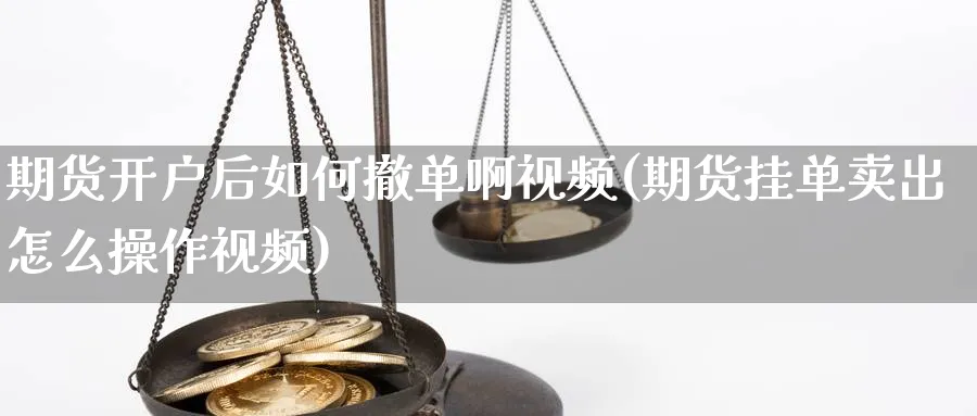 期货开户后如何撤单啊视频(期货挂单卖出怎么操作视频)_https://www.xmhbzsgs.com_期货品种_第1张