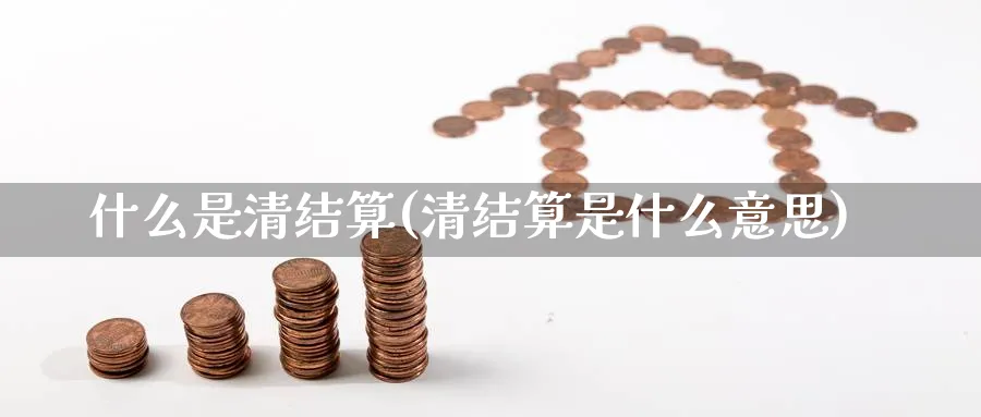 什么是清结算(清结算是什么意思)_https://www.xmhbzsgs.com_期货入门_第1张