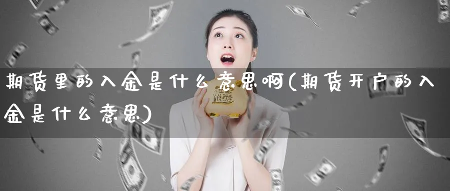 期货里的入金是什么意思啊(期货开户的入金是什么意思)_https://www.xmhbzsgs.com_期货入门_第1张