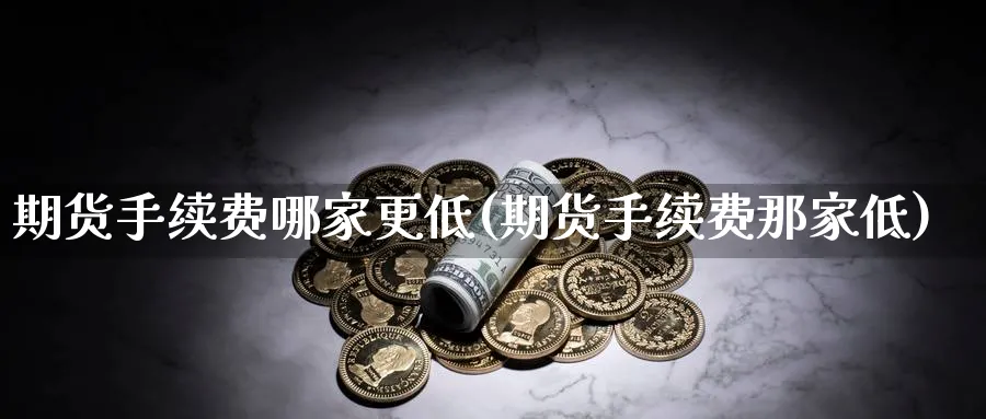 期货手续费哪家更低(期货手续费那家低)_https://www.xmhbzsgs.com_理财百科_第1张