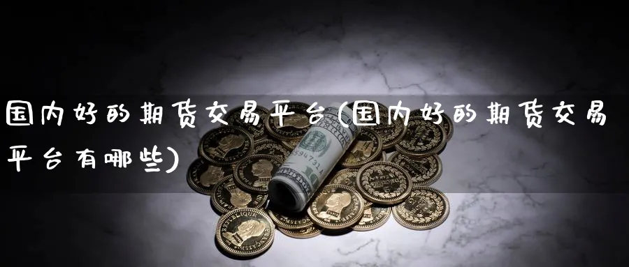 国内好的期货交易平台(国内好的期货交易平台有哪些)_https://www.xmhbzsgs.com_期货分析_第1张