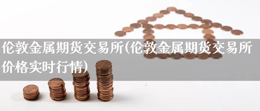 伦敦金属期货交易所(伦敦金属期货交易所价格实时行情)_https://www.xmhbzsgs.com_原油期货_第1张