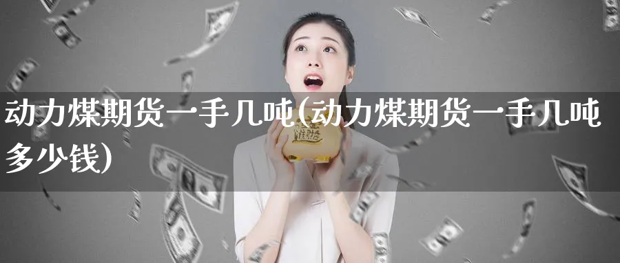 动力煤期货一手几吨(动力煤期货一手几吨多少钱)_https://www.xmhbzsgs.com_理财百科_第1张