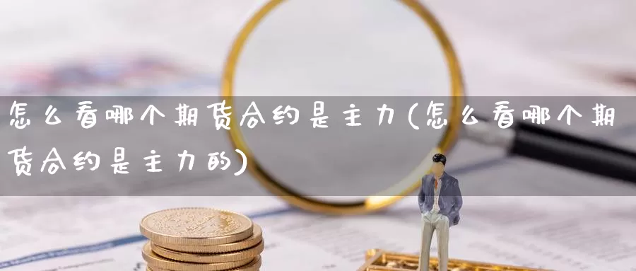 怎么看哪个期货合约是主力(怎么看哪个期货合约是主力的)_https://www.xmhbzsgs.com_期货入门_第1张