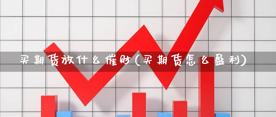 买期货放什么催财(买期货怎么盈利)_https://www.xmhbzsgs.com_期货入门_第1张