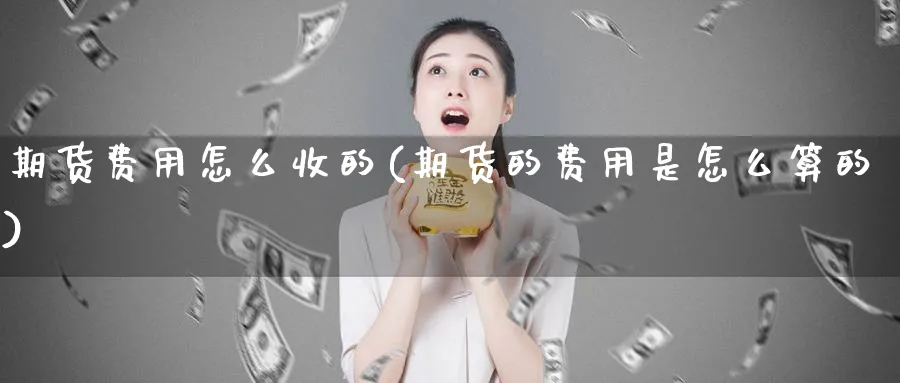 期货费用怎么收的(期货的费用是怎么算的)_https://www.xmhbzsgs.com_期货直播_第1张