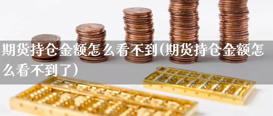 期货持仓金额怎么看不到(期货持仓金额怎么看不到了)_https://www.xmhbzsgs.com_期货入门_第1张