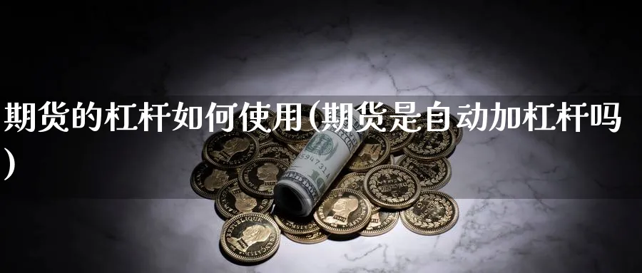 期货的杠杆如何使用(期货是自动加杠杆吗)_https://www.xmhbzsgs.com_原油期货_第1张