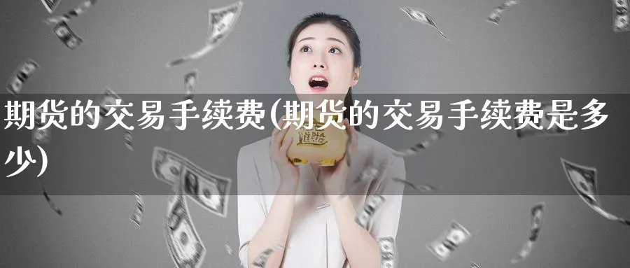 期货的交易手续费(期货的交易手续费是多少)_https://www.xmhbzsgs.com_期货入门_第1张