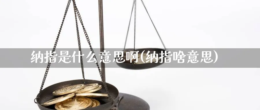 纳指是什么意思啊(纳指啥意思)_https://www.xmhbzsgs.com_纳指期货_第1张