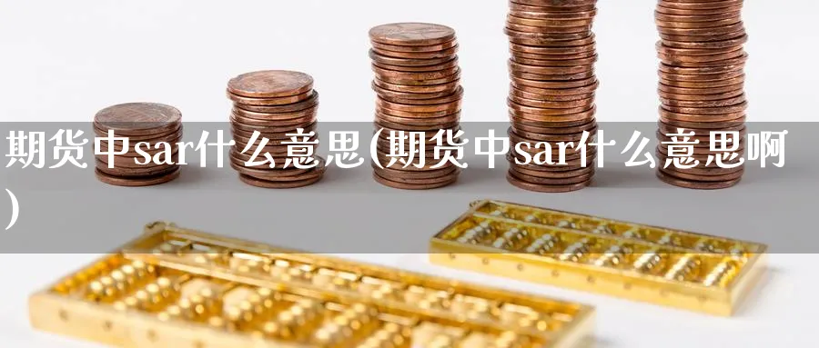 期货中sar什么意思(期货中sar什么意思啊)_https://www.xmhbzsgs.com_内盘期货_第1张