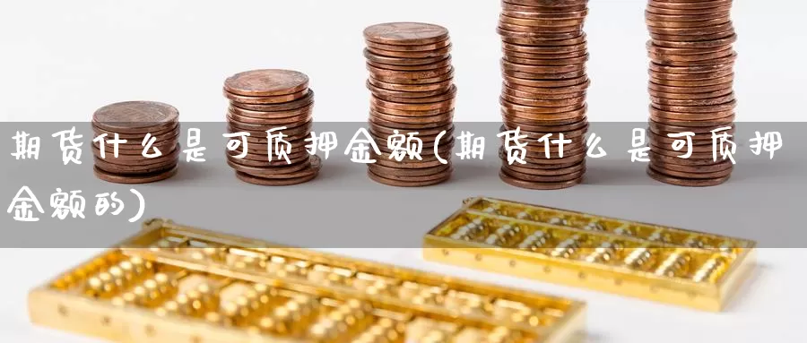 期货什么是可质押金额(期货什么是可质押金额的)_https://www.xmhbzsgs.com_期货入门_第1张