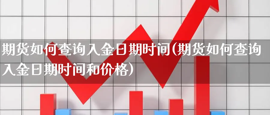 期货如何查询入金日期时间(期货如何查询入金日期时间和价格)_https://www.xmhbzsgs.com_期货入门_第1张