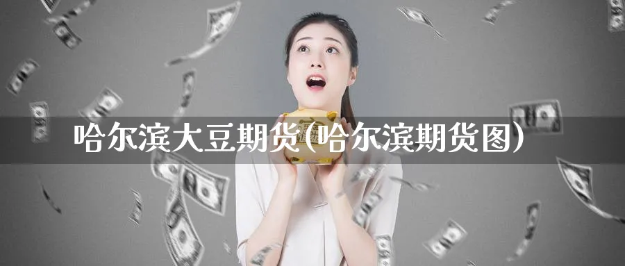 哈尔滨大豆期货(哈尔滨期货图)_https://www.xmhbzsgs.com_期货分析_第1张