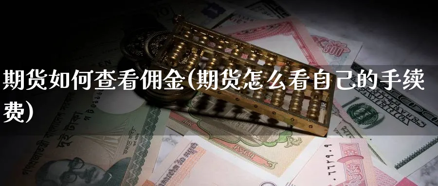 期货如何查看佣金(期货怎么看自己的手续费)_https://www.xmhbzsgs.com_纳指期货_第1张