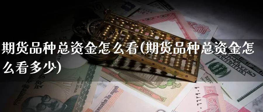 期货品种总资金怎么看(期货品种总资金怎么看多少)_https://www.xmhbzsgs.com_期货直播_第1张