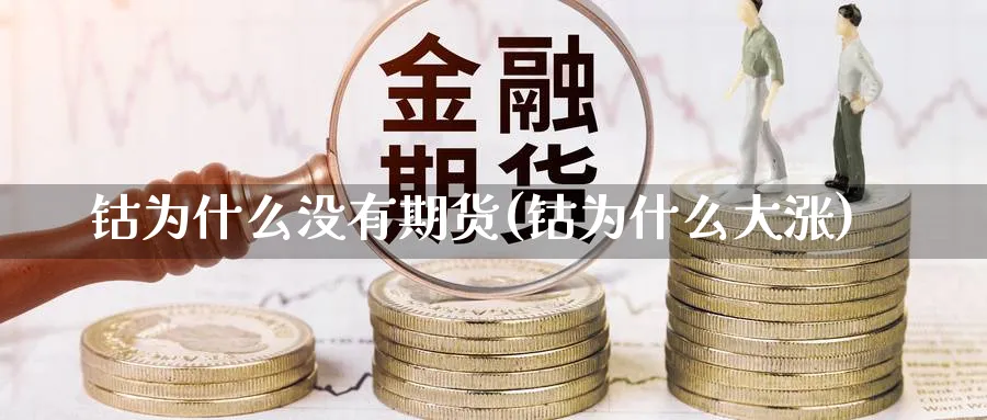 钴为什么没有期货(钴为什么大涨)_https://www.xmhbzsgs.com_期货直播_第1张