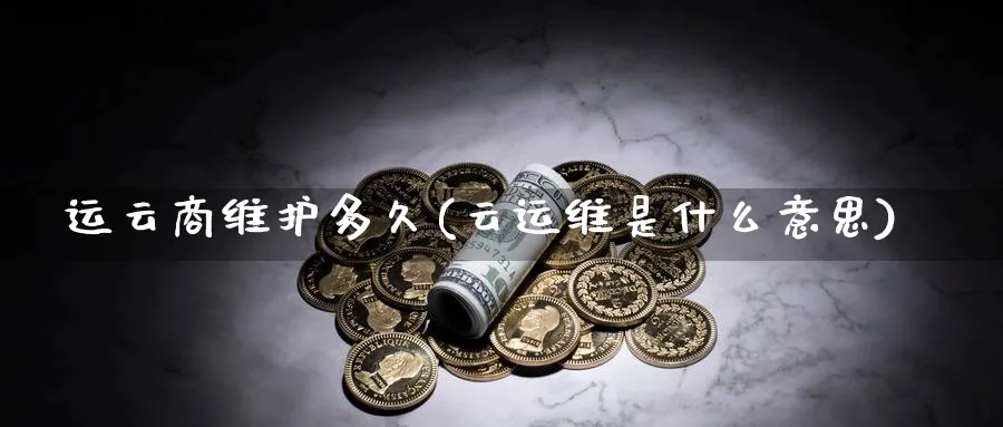 运云商维护多久(云运维是什么意思)_https://www.xmhbzsgs.com_期货分析_第1张