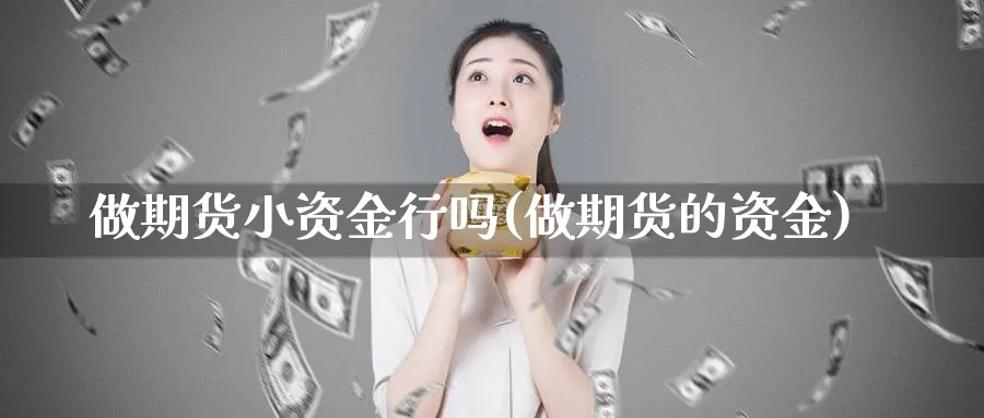 做期货小资金行吗(做期货的资金)_https://www.xmhbzsgs.com_期货品种_第1张