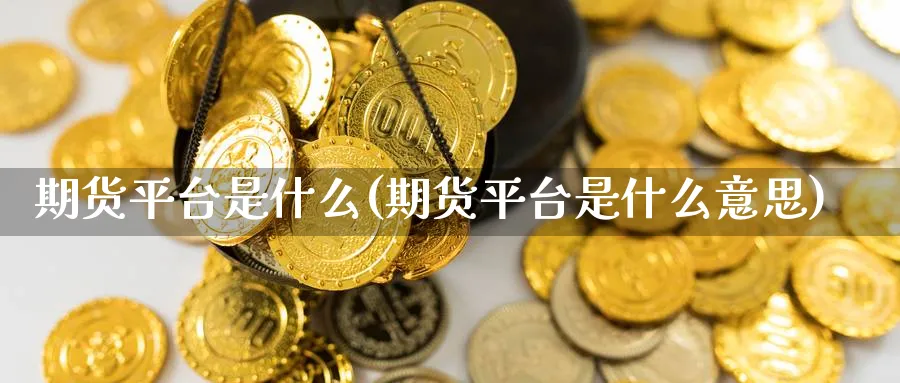 期货平台是什么(期货平台是什么意思)_https://www.xmhbzsgs.com_理财百科_第1张