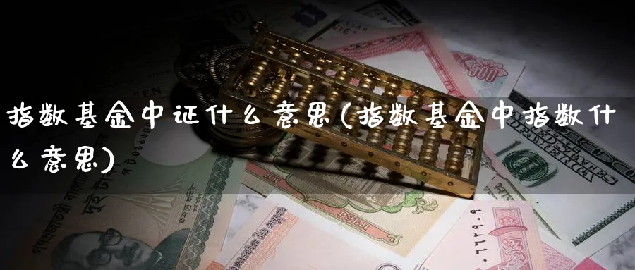 指数基金中证什么意思(指数基金中指数什么意思)_https://www.xmhbzsgs.com_期货直播_第1张