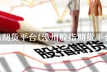 股指期货平台(漳州股指期货平台)